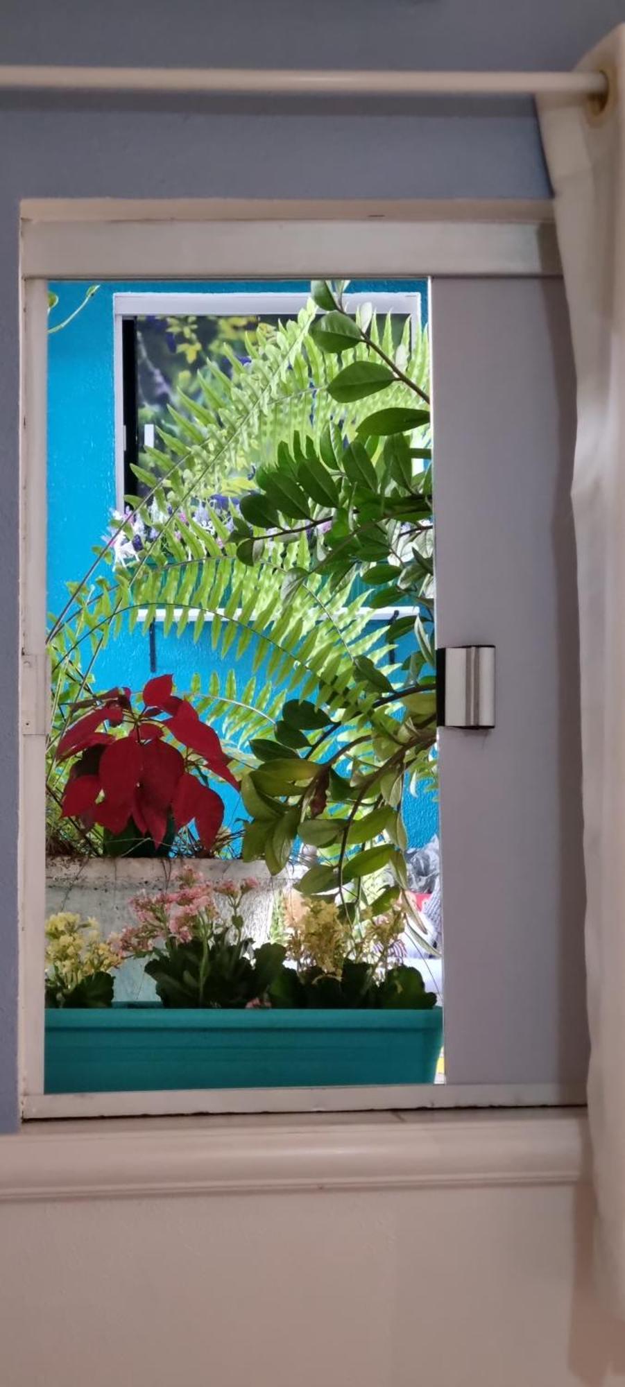 Pousada Recanto Da Familia Natal Luaran gambar